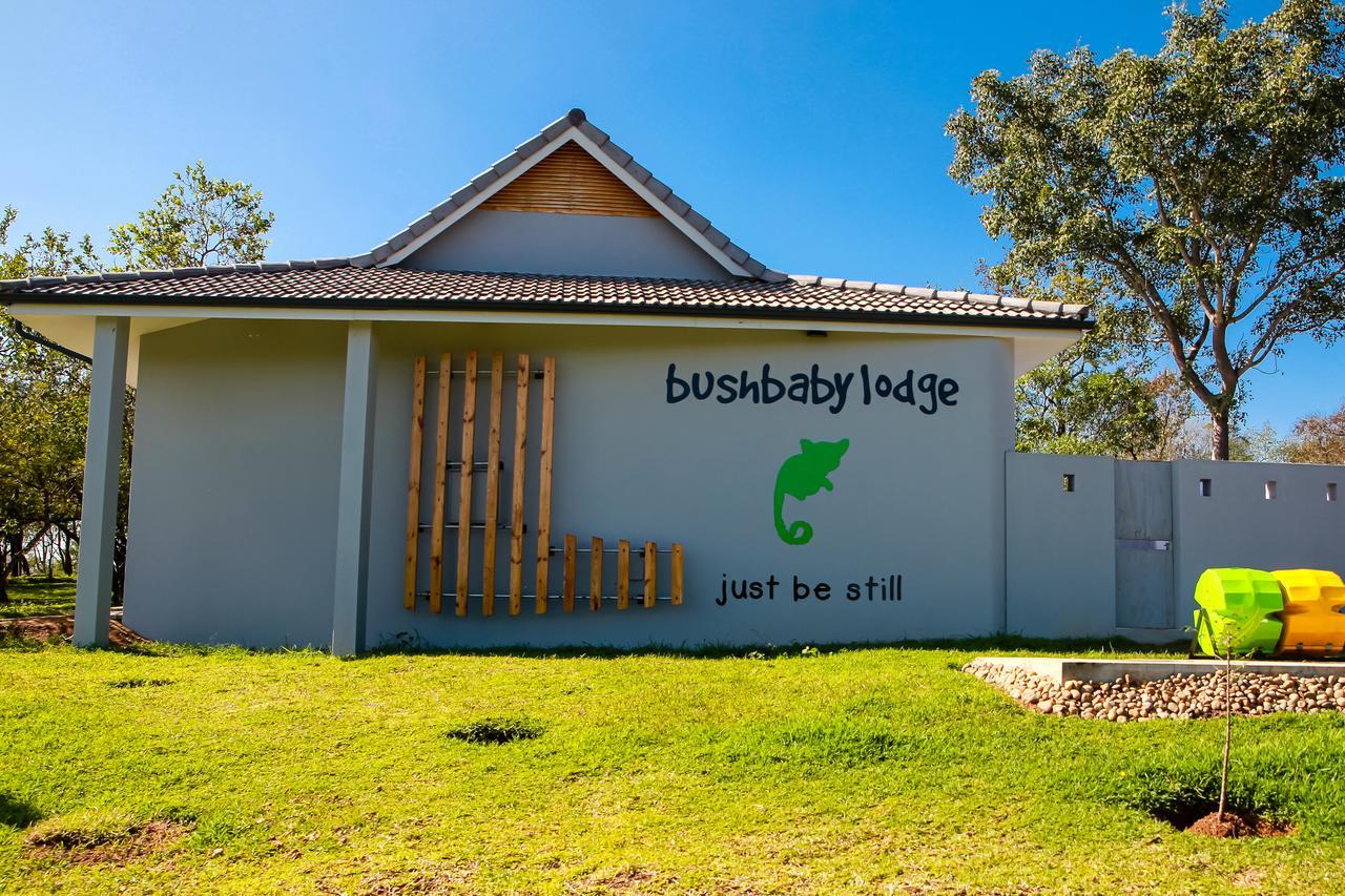 Bushbaby Lodge At Nkonyeni Manzini Exteriér fotografie